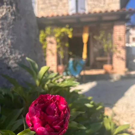 Apartament Casa Romana *